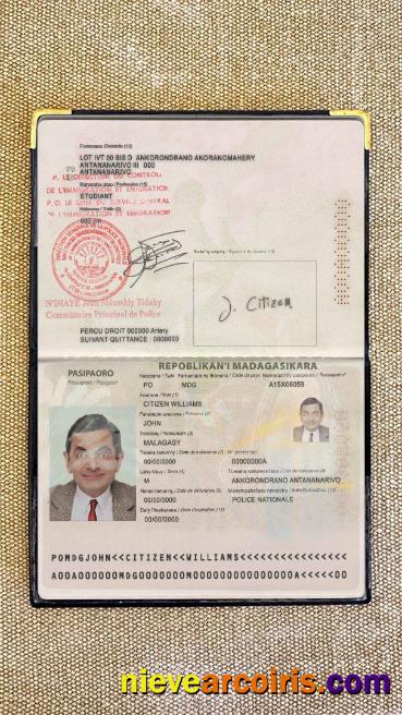 Madagascar passport photolook